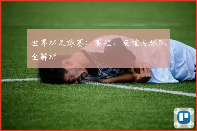 世界杯足球赛：赛程、场馆与球队全解析