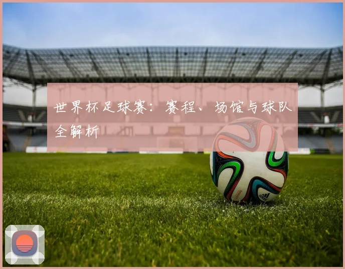 世界杯足球赛：赛程、场馆与球队全解析